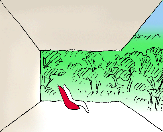 2.gif