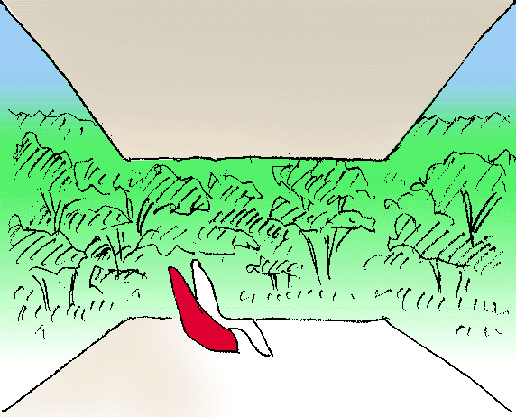 5.gif