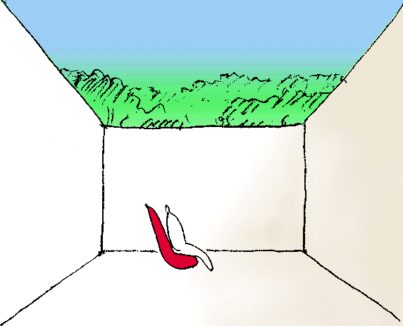 6.gif
