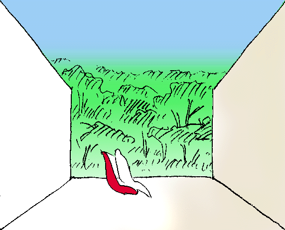7.gif