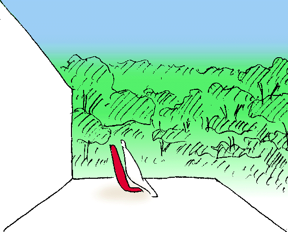 9.gif